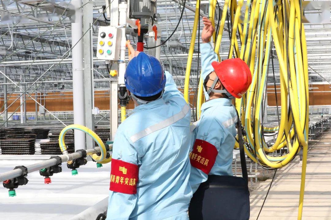 草海機(jī)場(chǎng)最新動(dòng)態(tài)揭秘，建設(shè)進(jìn)展、航班信息及未來(lái)展望