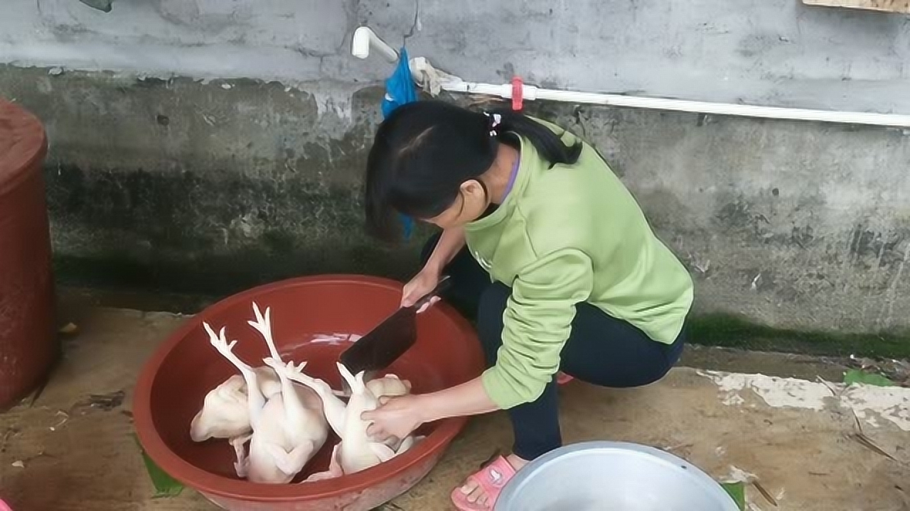 關(guān)于阿梅殺雞視頻的理性分析與網(wǎng)絡(luò)倫理道德探討，警惕涉黃內(nèi)容侵蝕社會(huì)倫理底線。