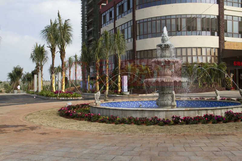 棕櫚水城最新動(dòng)態(tài)，塑造理想生活新標(biāo)桿！