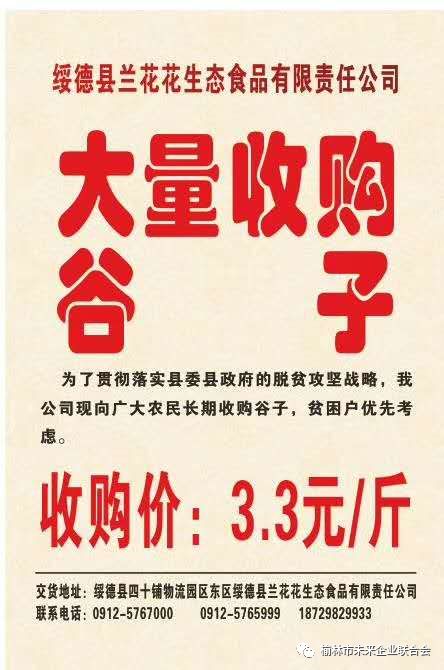 淄川最新財(cái)務(wù)招聘，職業(yè)發(fā)展的理想選擇