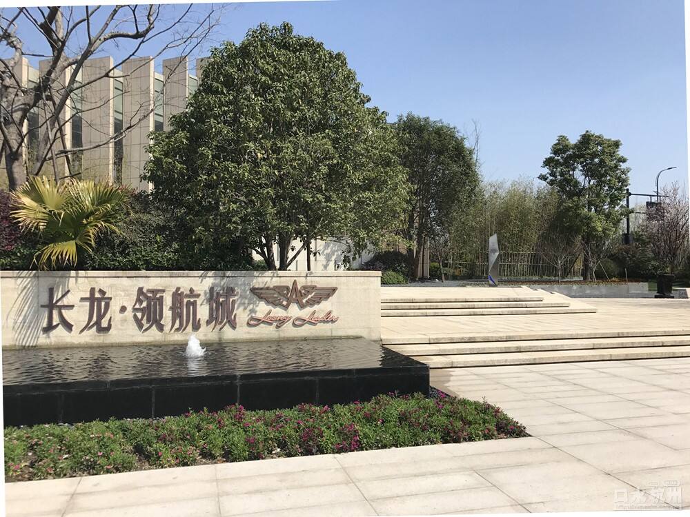 長龍領(lǐng)航最新動態(tài)，駕馭變革，開啟知識海洋的勵(lì)志之旅