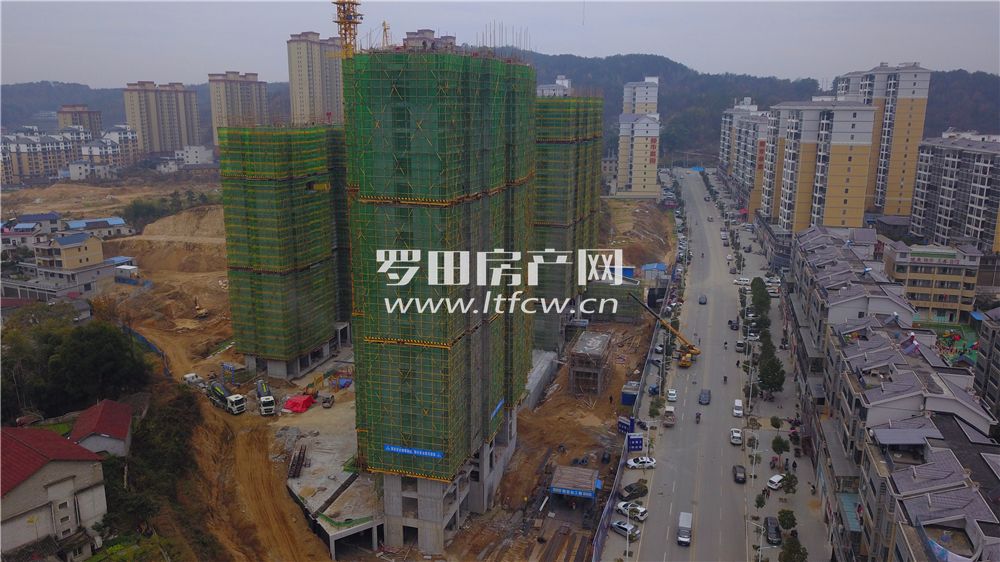 羅田最新房價揭秘，洞悉市場動態(tài)，掌握房價走勢！