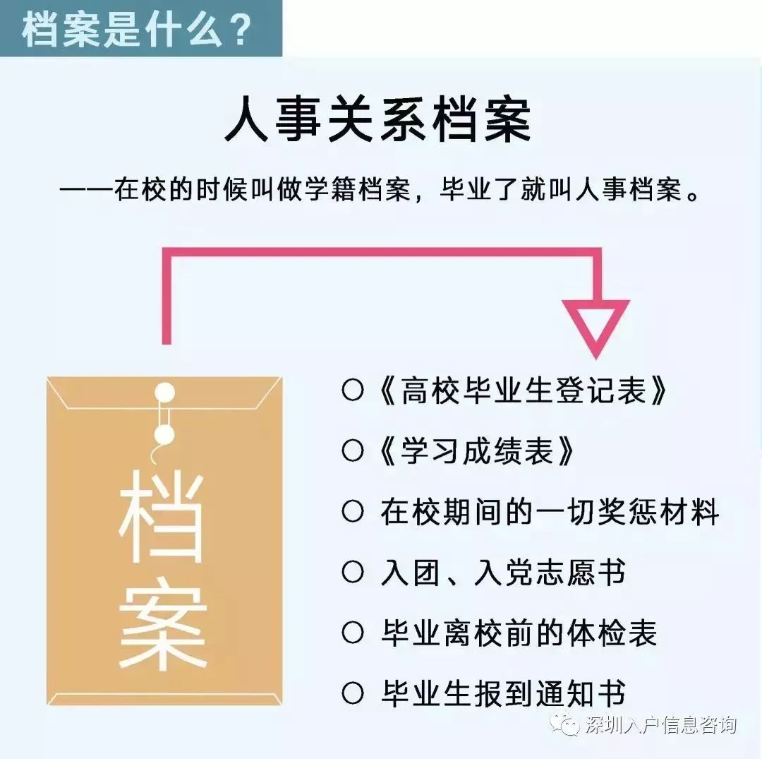 檔案人員補貼最新觀點論述，探討補貼政策與檔案人員發(fā)展的關(guān)系