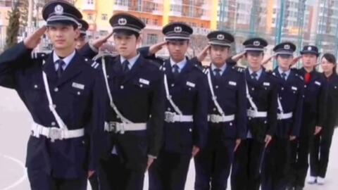 寧國(guó)最新保安招聘及其探討，行業(yè)現(xiàn)狀與發(fā)展趨勢(shì)分析