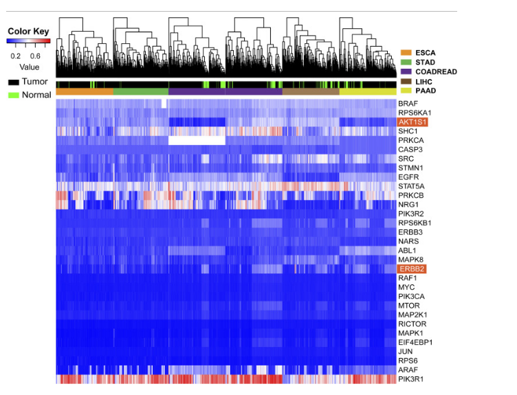…2024新澳資料免費(fèi)精準(zhǔn)109,澳…,信息明晰解析導(dǎo)向_NSZ10.241生態(tài)版