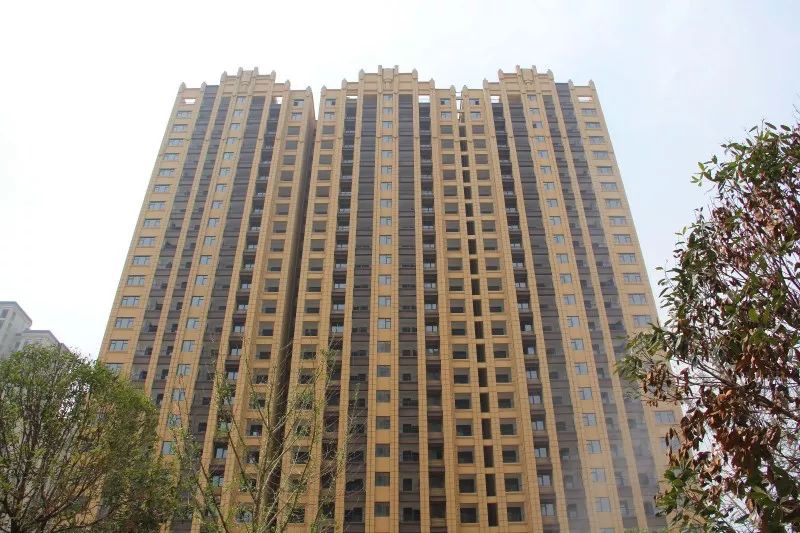 紫荊城邦最新動態(tài)，揭開未來生活新篇章的序幕