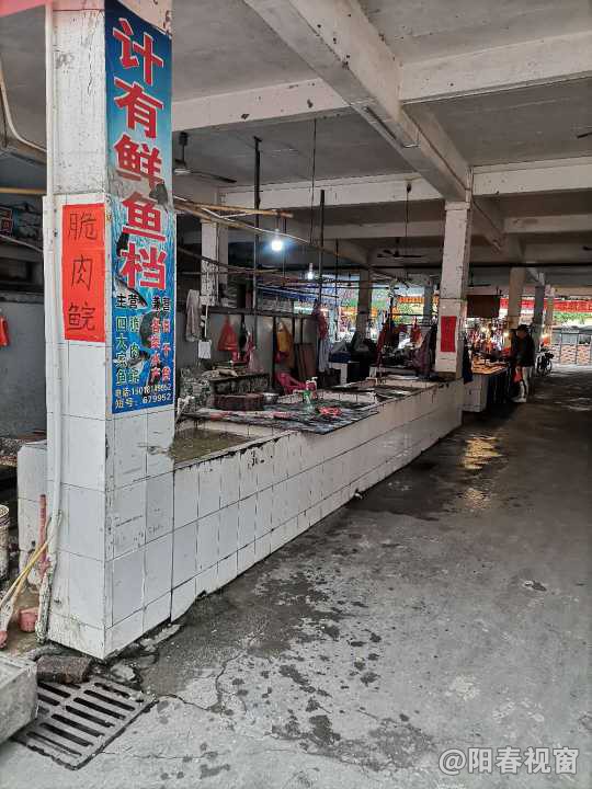 最新魚檔轉(zhuǎn)讓，把握商機(jī)，輕松開啟水產(chǎn)養(yǎng)殖事業(yè)之路