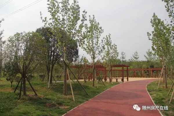 隨州桃園公園最新動態(tài)揭秘，驚喜連連，不容錯過！