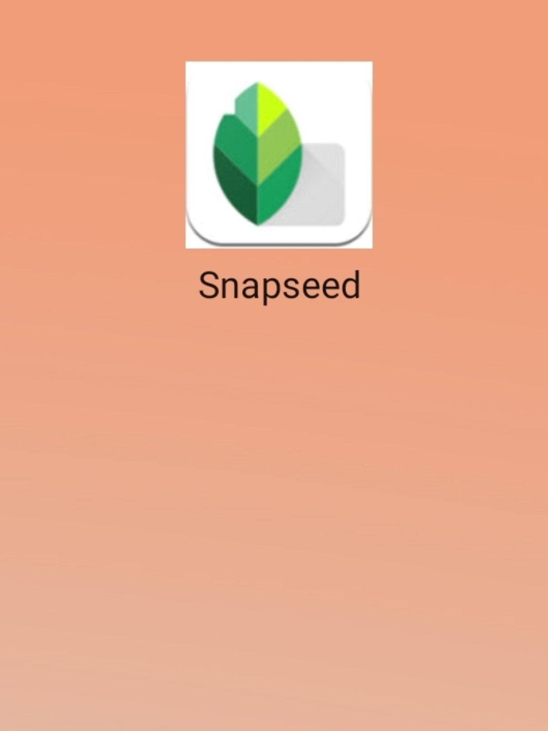 最新snapseed中文版，科技重塑影像，讓生活因攝影更精彩
