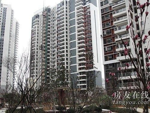 綠地長(zhǎng)島公寓最新價(jià)格揭秘，小巷深處的隱藏寶藏