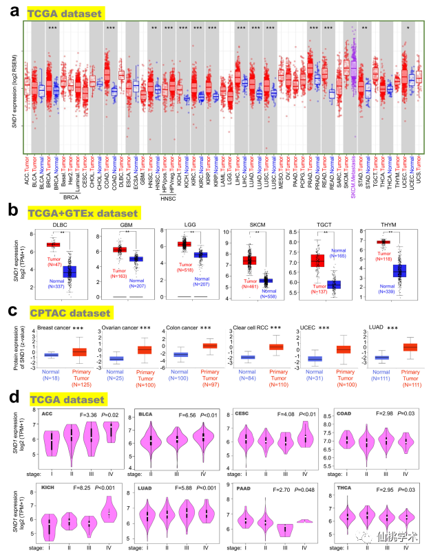 7884444最快開獎網(wǎng),深究數(shù)據(jù)應(yīng)用策略_YHG85.375L版