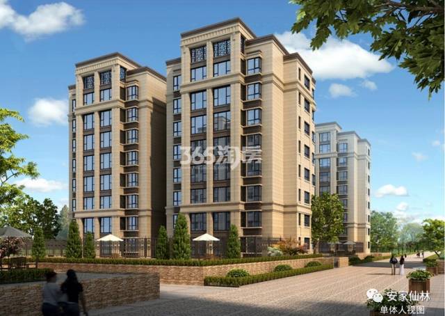 銀城東岳府最新動態(tài)分析揭秘，最新消息與進展