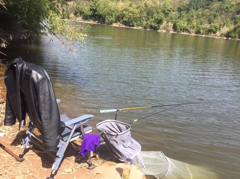 山門寺水庫釣魚最新指南，垂釣攻略與技巧分享