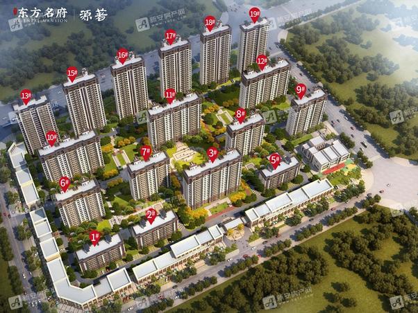 明光東郡最新動態(tài)，友情的綻放與家的溫馨日常