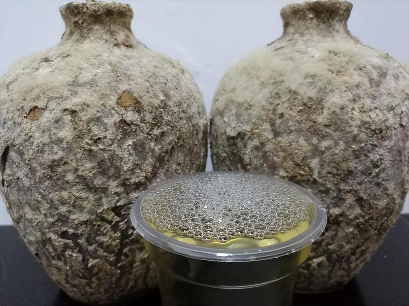 仁懷房屋出售最新信息，科技與家居融合，未來家居新體驗重磅推出