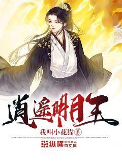 時(shí)代之光下的璀璨篇章，明月珰最新連載熱議熱議熱議！