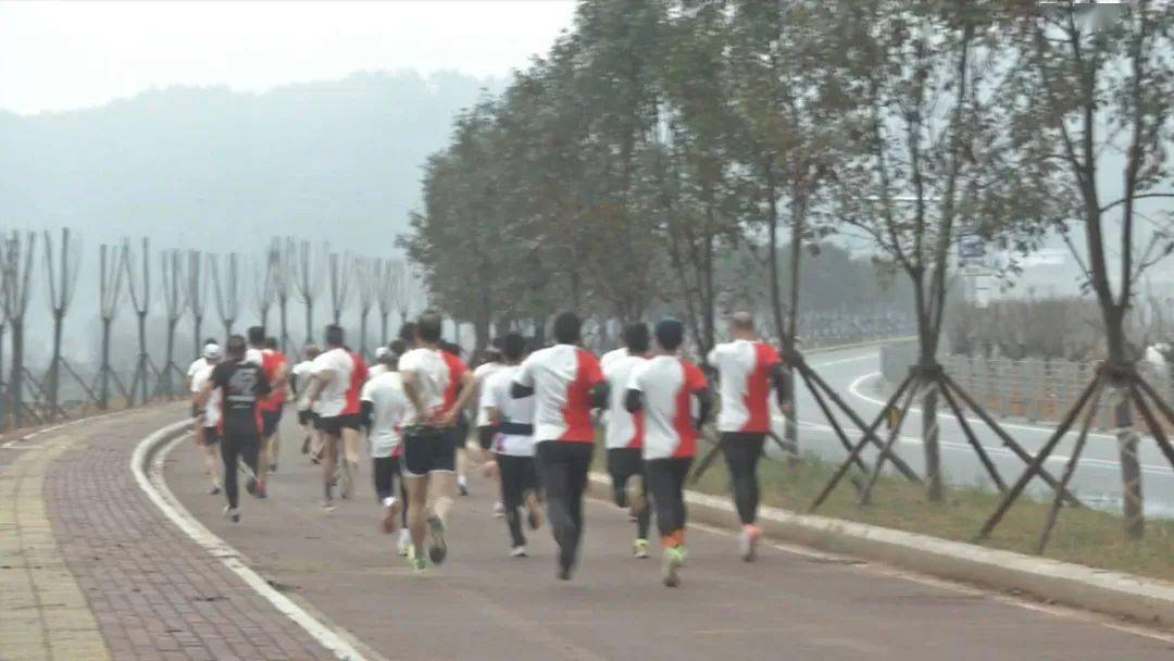 古田環(huán)湖路最新動態(tài)揭秘，時代脈搏與城市發(fā)展的融合之路