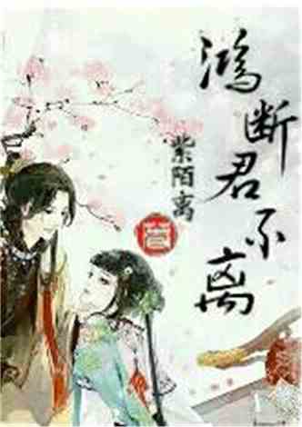 沈南汐最新小說，知識的力量，成就夢想的翅膀之路