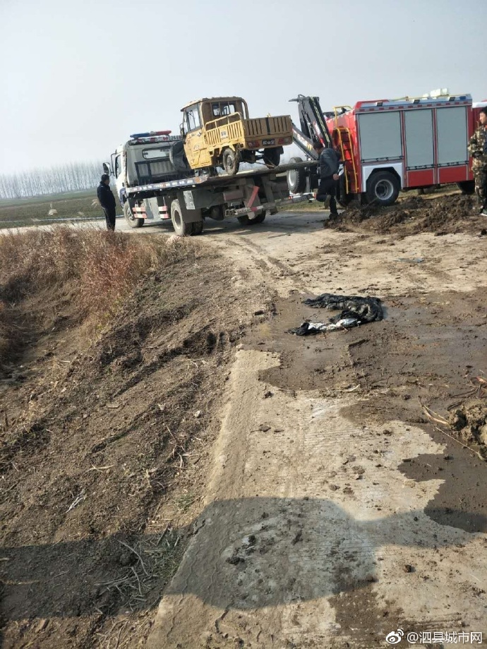 泗縣車禍悲劇，警醒與深思背后的最新新聞報(bào)道