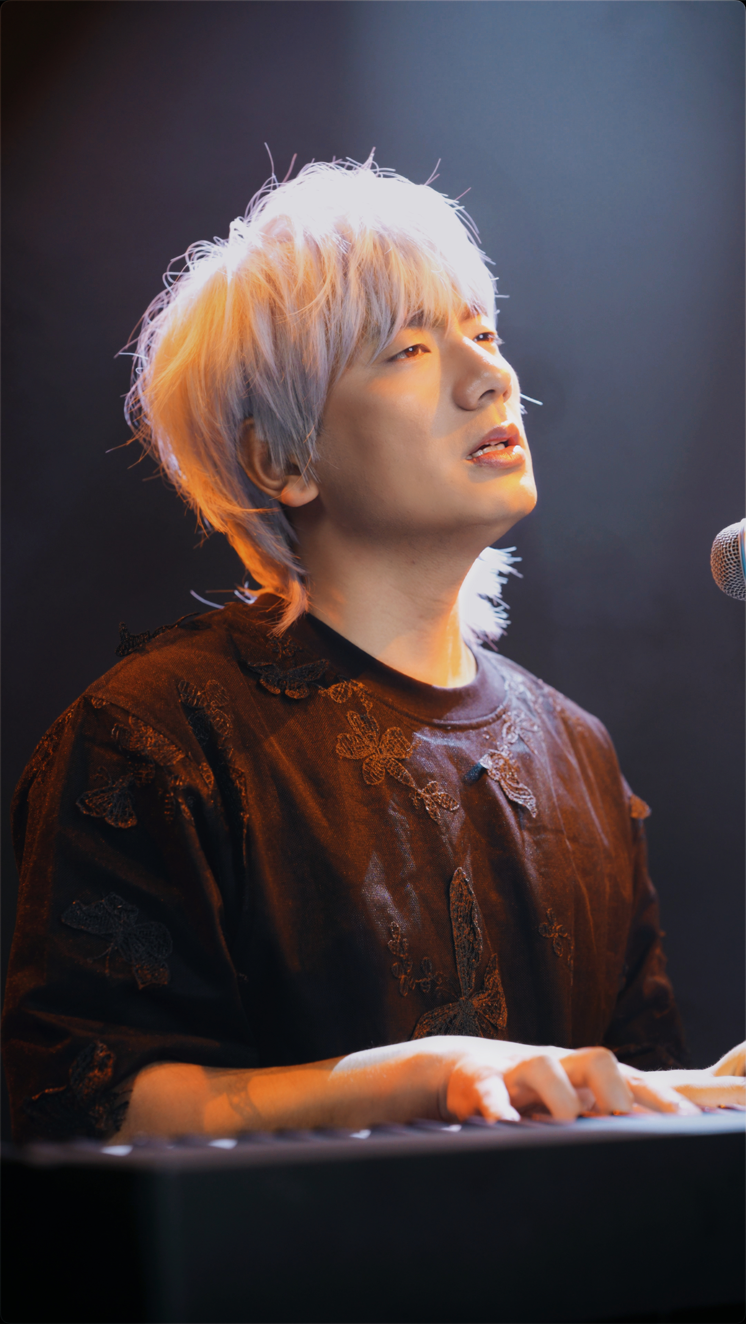 冷漠2024最新預(yù)告新歌，音樂(lè)與時(shí)代交融的期待之聲