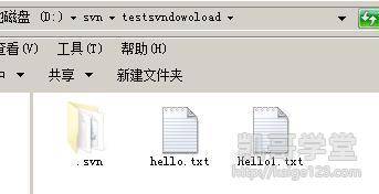 Jav最新網(wǎng)址探索，小巷深處的獨(dú)特風(fēng)味之旅