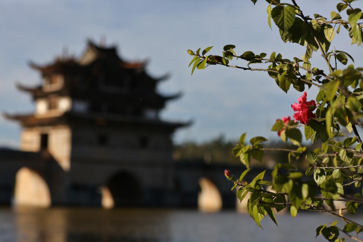 大冰最新力作，智能生活新紀(jì)元——科技與生活的完美融合