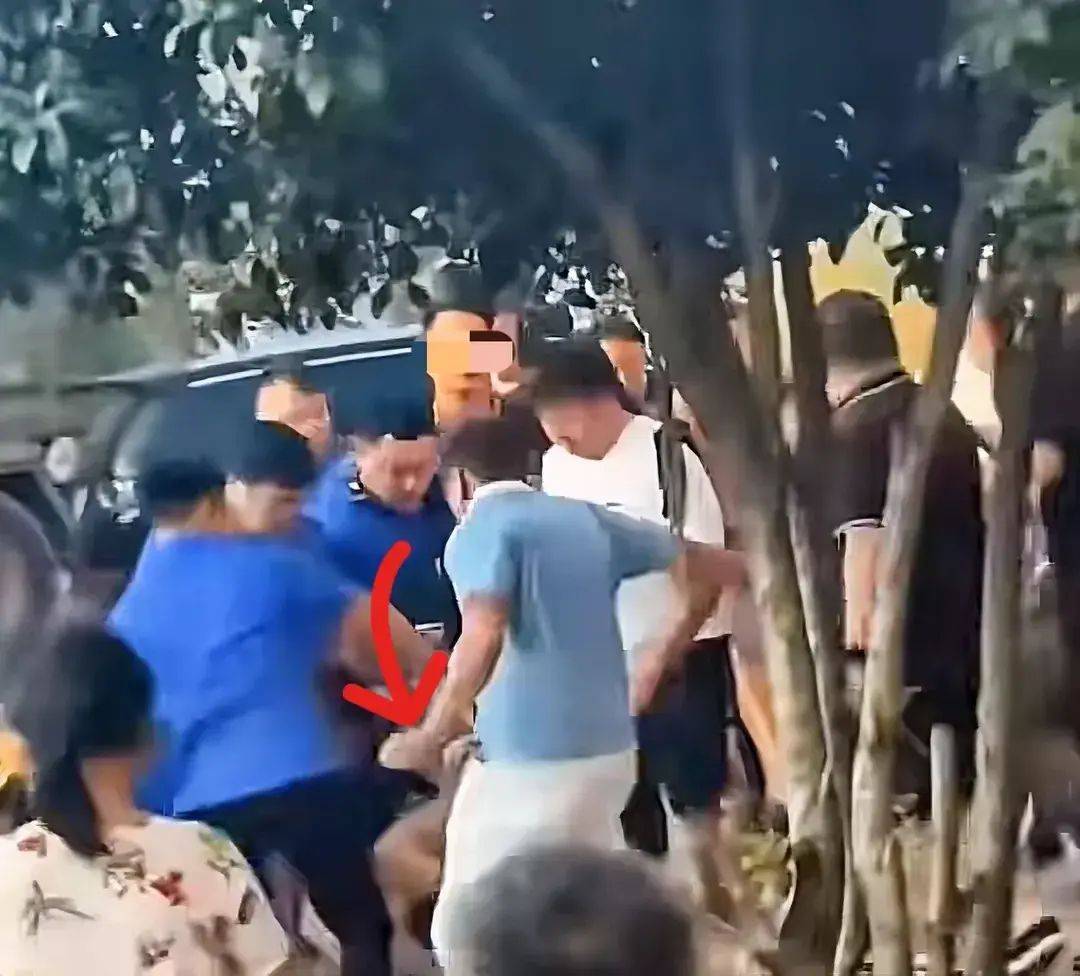 一打假博主團隊遭商戶圍毆,農(nóng)林經(jīng)濟管理_CNC9.631內(nèi)容版