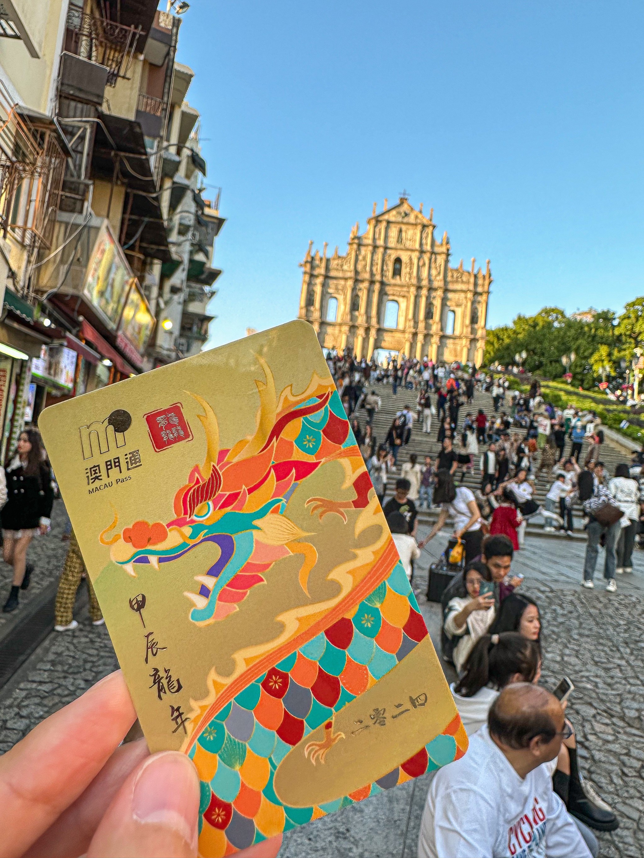 2024新老澳門生肖卡,快速解答方案設計_CZO58.852優(yōu)雅版