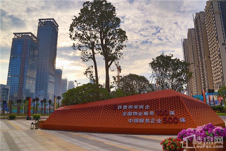 南寧彰泰城最新動態(tài)，解讀其最新發(fā)展及影響的一種觀點分析