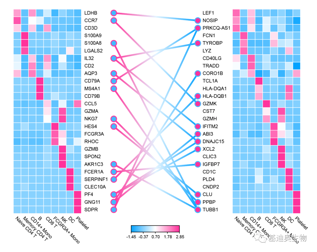 2024新澳門天天彩期期精準,高效性設計規(guī)劃_云端版11.924
