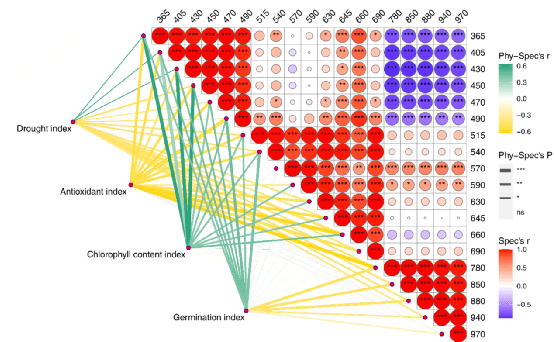 新澳門資料大全正版資料？奧利奧,科學(xué)解釋分析_增強版40.269