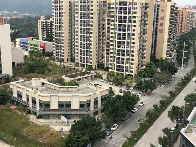 膠南山水雅居最新動態(tài)，鄰里日常趣事與情感紐帶分享