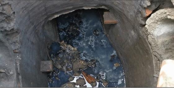 遂寧市電子廠最新招聘，與自然共舞，探尋內心寧靜之旅