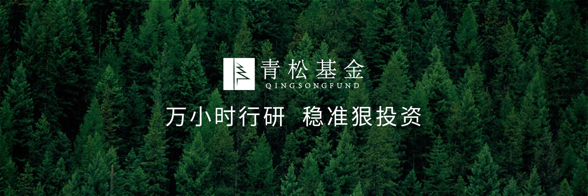 長青樹眾籌最新動態(tài)，背景、發(fā)展與時代地位探索