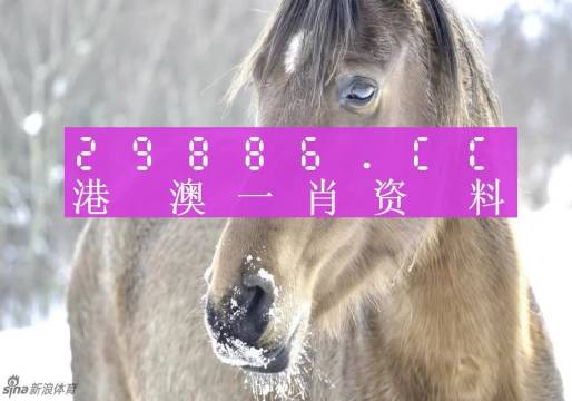澳門一肖一碼100準(zhǔn)免費(fèi),科學(xué)分析嚴(yán)謹(jǐn)解釋_高清晰度版47.969