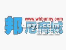 葫蘆島最新營業(yè)員招聘動態(tài)，背景分析與影響探討