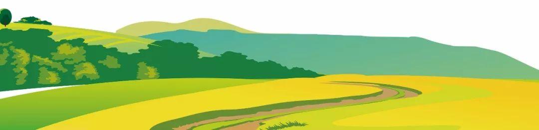 藍(lán)田縣未來藍(lán)圖，最新發(fā)展規(guī)劃揭秘