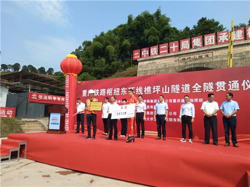 巴南鐵路最新線路圖及其影響深度解析