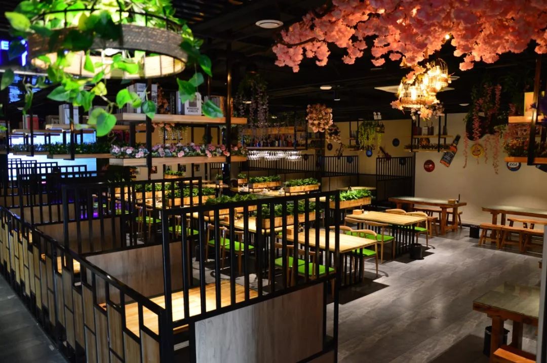 中餐廳最新一期音樂，熱門旋律與節(jié)目魅力的完美交融