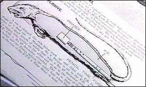 美國填尸最新進展，高科技重塑生活，未來科技魅力體驗