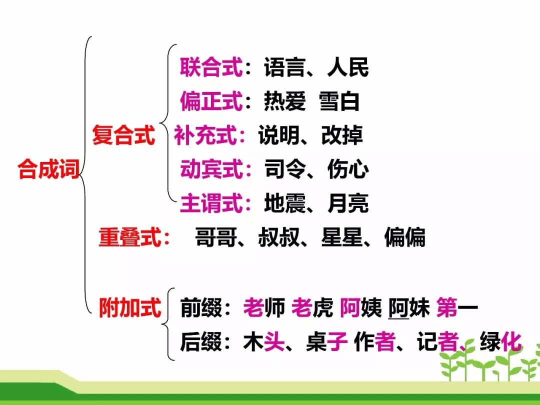 最新合成詞，語言發(fā)展的微觀視角探索