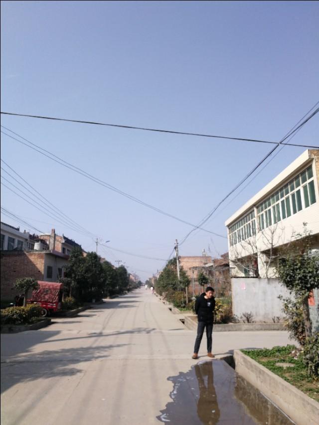 周至縣最新動態(tài)，發(fā)展脈搏與時代步伐的交融進(jìn)展