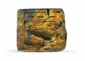 余厚蜀最新動(dòng)態(tài)，科技前沿探索與行業(yè)創(chuàng)新引領(lǐng)