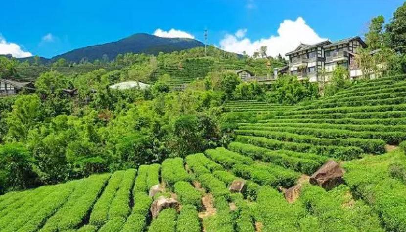 深圳驚喜活動溫情之旅，日常中的特別瞬間