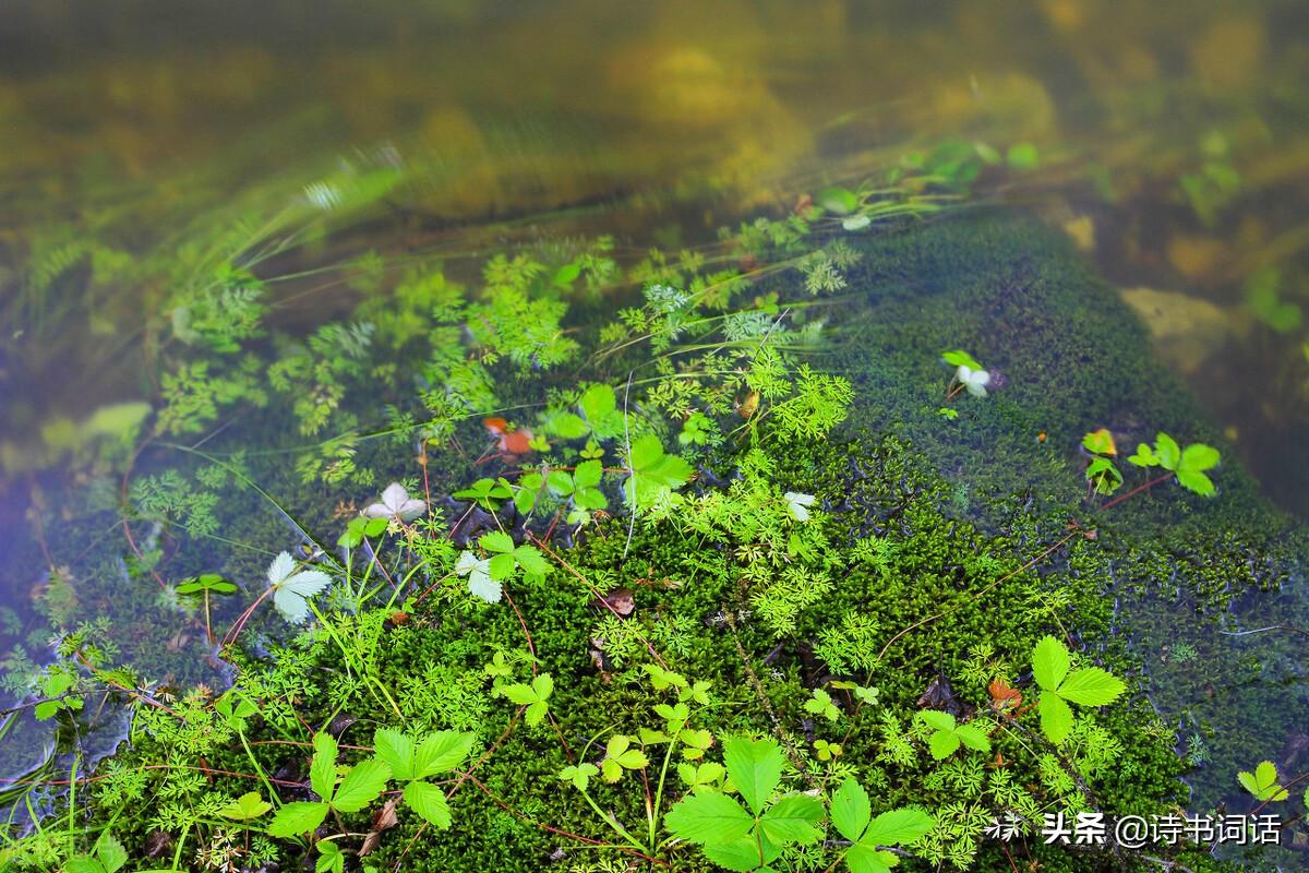 南山高樓崛起，背景、發(fā)展與時(shí)代地位全景解析