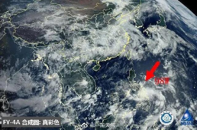 臺(tái)風(fēng)鸚鵡的最新動(dòng)態(tài)，逆風(fēng)翱翔的力量與學(xué)習(xí)魅力