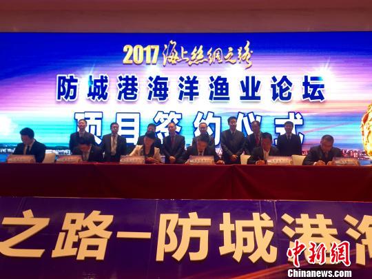 防誠港最新,防誠港的最新發(fā)展，機遇與挑戰(zhàn)并存