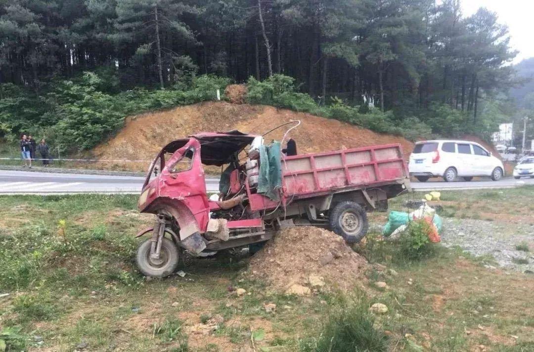 平山事故背后的溫馨故事，友情、愛與陪伴的奇遇