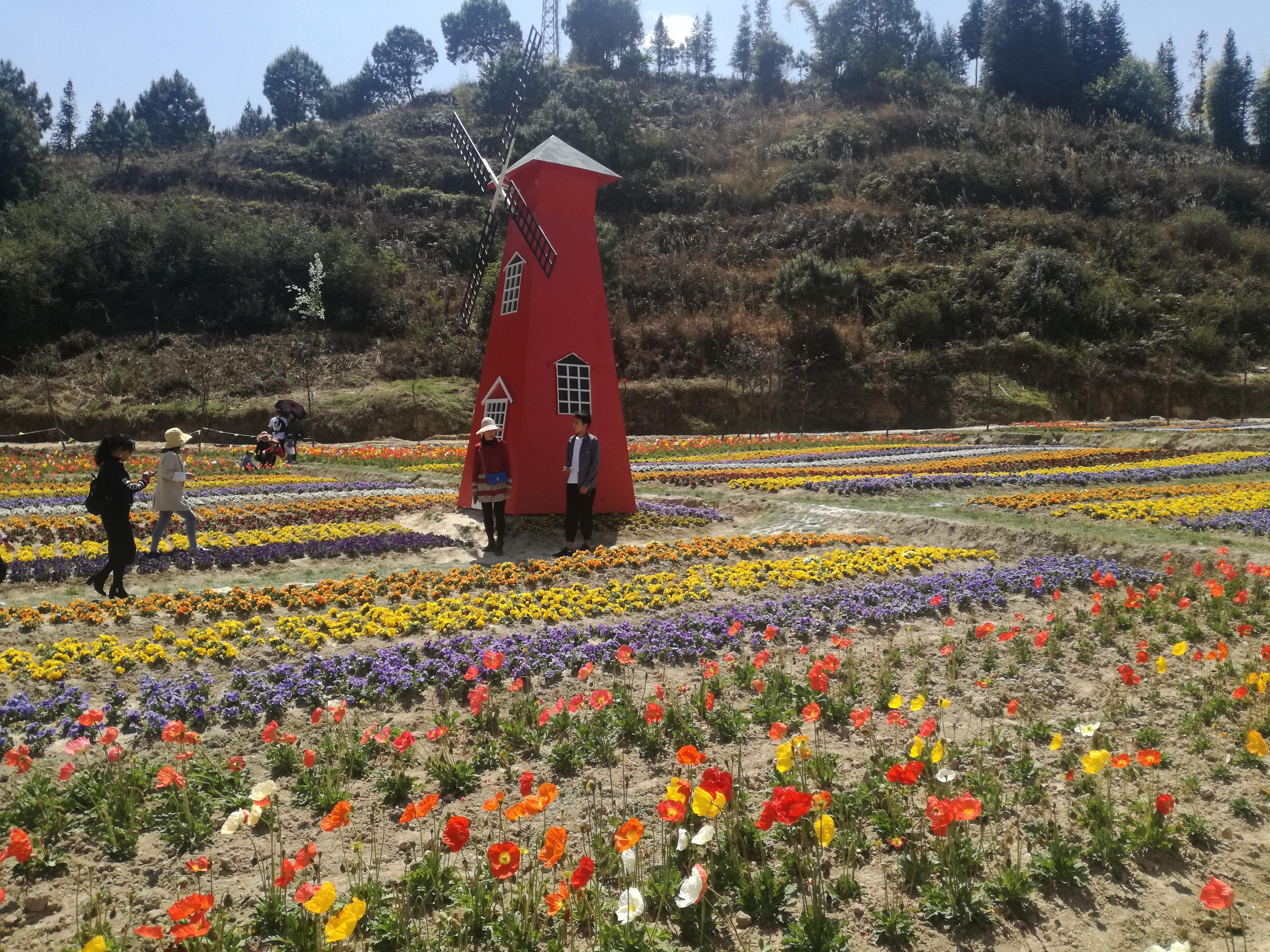 臨滄市最新探索，自然美景之旅，尋找內(nèi)心平和的旅程