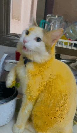 男友最新動態(tài)，科技巔峰之作，引領未來生活新紀元風潮